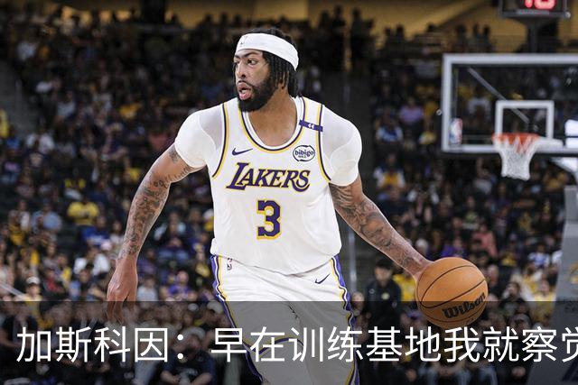 加斯科因：早在训练基地我就察觉热刺的危机